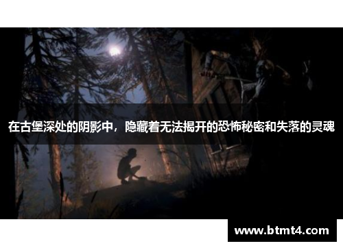在古堡深处的阴影中，隐藏着无法揭开的恐怖秘密和失落的灵魂
