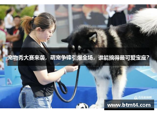 宠物秀大赛来袭，萌宠争锋引爆全场，谁能摘得最可爱宝座？