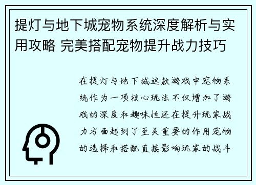 提灯与地下城宠物系统深度解析与实用攻略 完美搭配宠物提升战力技巧